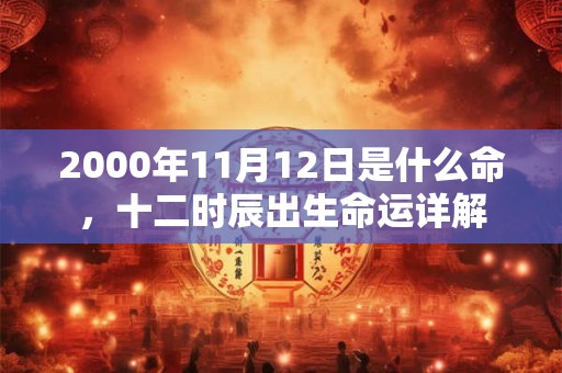2000年11月12日是什么命，十二时辰出生命运详解