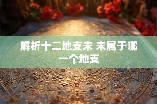 解析十二地支未 未属于哪一个地支