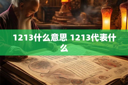 1213什么意思 1213代表什么