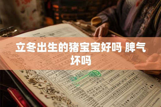 立冬出生的猪宝宝好吗 脾气坏吗