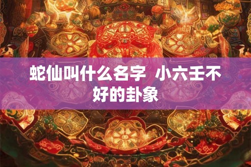 蛇仙叫什么名字  小六壬不好的卦象