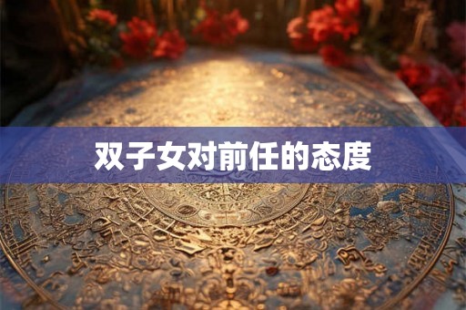 双子女对前任的态度