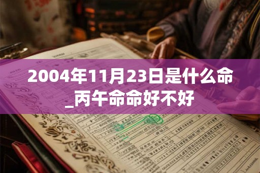2004年11月23日是什么命_丙午命命好不好 2004年11月23日是什么命_丙午命命好不好