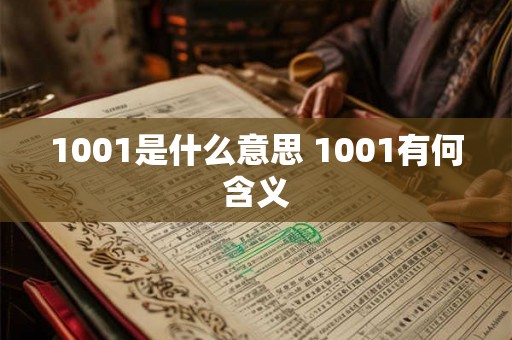 1001是什么意思 1001有何含义