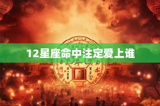 12星座命中注定爱上谁