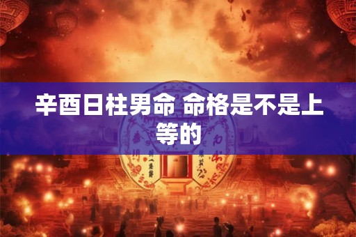 辛酉日柱男命 命格是不是上等的 辛酉日柱男命 命格是不是上等的
