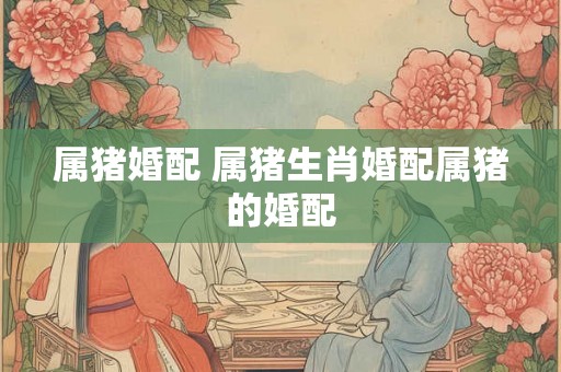 属猪婚配 属猪生肖婚配属猪的婚配 属猪婚配 属猪生肖婚配属猪的婚配