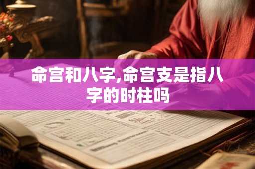 命宫和八字,命宫支是指八字的时柱吗