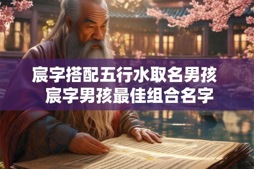 宸字搭配五行水取名男孩  宸字男孩最佳组合名字