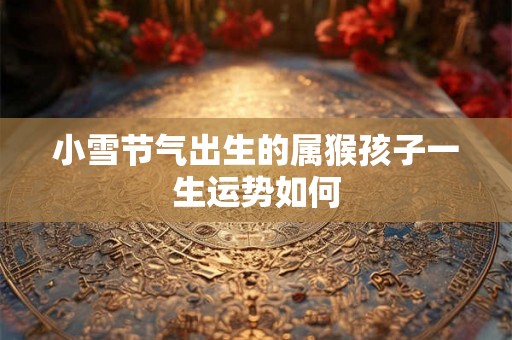小雪节气出生的属猴孩子一生运势如何