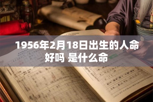 1956年2月18日出生的人命好吗 是什么命
