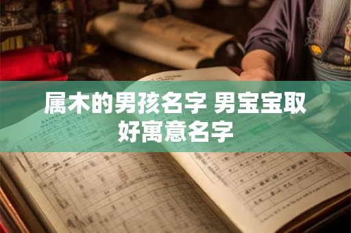 属木的男孩名字 男宝宝取好寓意名字 属木的男孩名字 男宝宝取好寓意名字