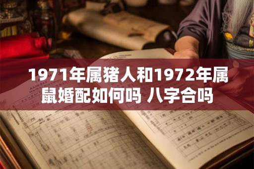 1971年属猪人和1972年属鼠婚配如何吗 八字合吗