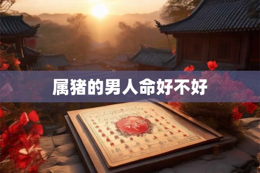 属猪的男人命好不好