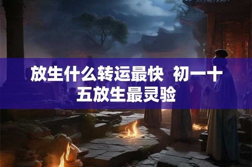放生什么转运最快  初一十五放生最灵验