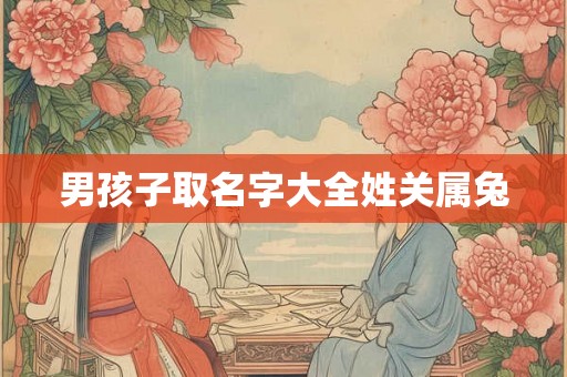 男孩子取名字大全姓关属兔
