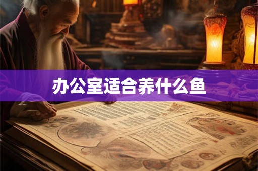 办公室适合养什么鱼