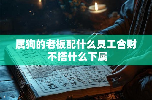 属狗的老板配什么员工合财 不搭什么下属