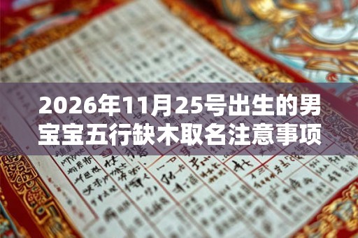 2026年11月25号出生的男宝宝五行缺木取名注意事项