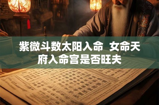 紫微斗数太阳入命  女命天府入命宫是否旺夫