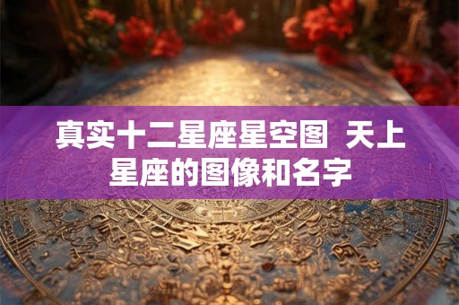 真实十二星座星空图  天上星座的图像和名字