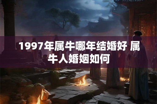 1997年属牛哪年结婚好 属牛人婚姻如何