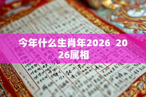 今年什么生肖年2026  2026属相