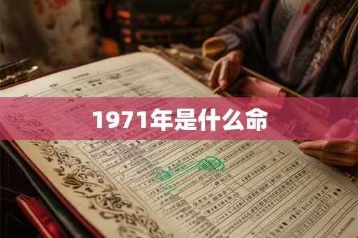 1971年是什么命
