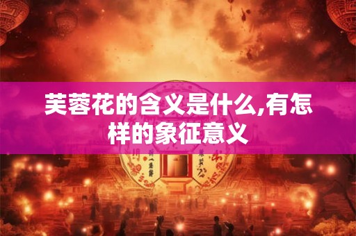芙蓉花的含义是什么,有怎样的象征意义