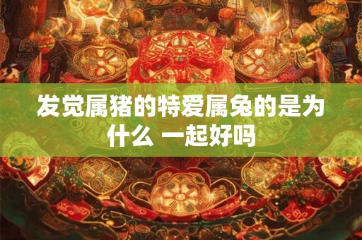 发觉属猪的特爱属兔的是为什么 一起好吗