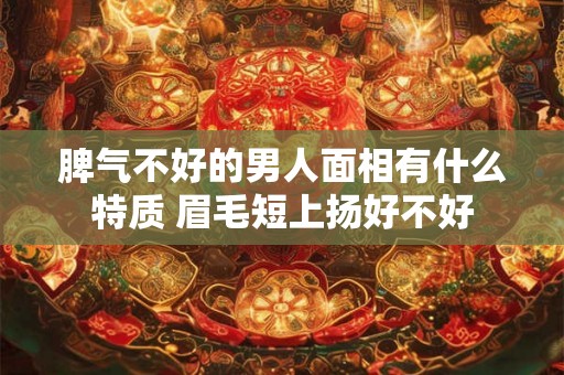 脾气不好的男人面相有什么特质 眉毛短上扬好不好