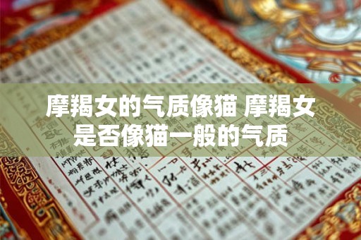 摩羯女的气质像猫 摩羯女是否像猫一般的气质