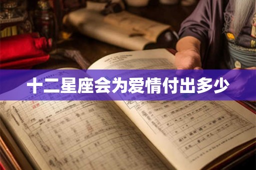十二星座会为爱情付出多少