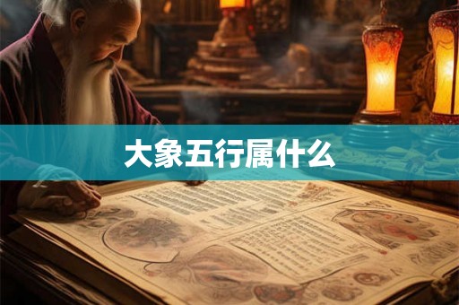 大象五行属什么