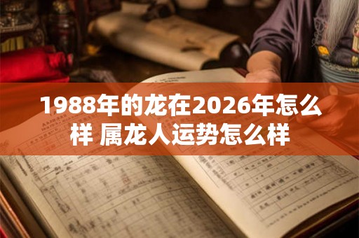 1988年的龙在2026年怎么样 属龙人运势怎么样