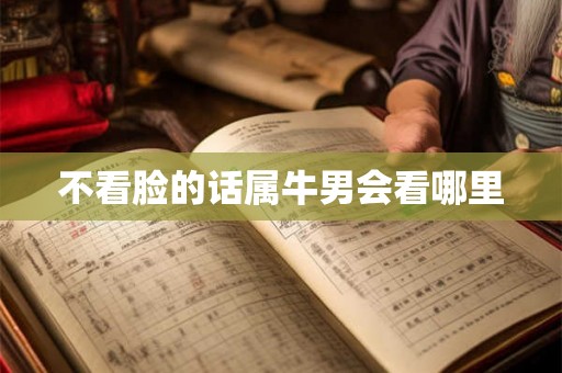 不看脸的话属牛男会看哪里
