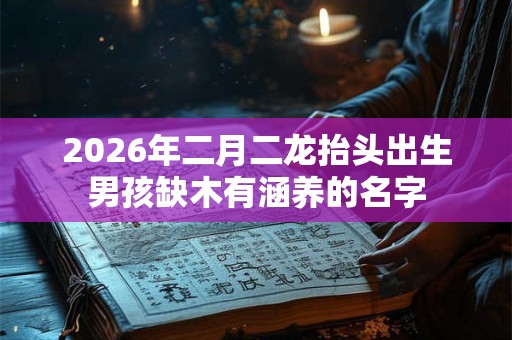 2026年二月二龙抬头出生男孩缺木有涵养的名字 2026年二月二龙抬头出生男孩缺木有涵养的名字