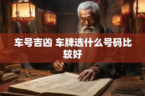 车号吉凶 车牌选什么号码比较好