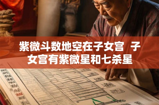 紫微斗数地空在子女宫  子女宫有紫微星和七杀星