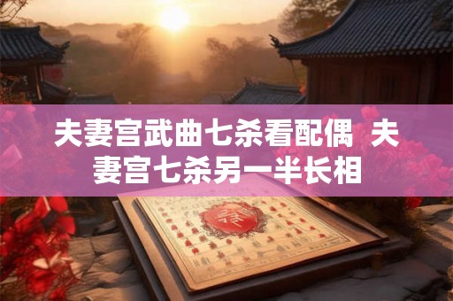 夫妻宫武曲七杀看配偶  夫妻宫七杀另一半长相