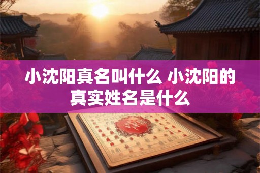 小沈阳真名叫什么 小沈阳的真实姓名是什么