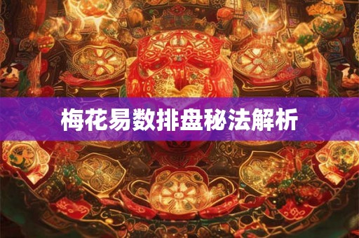 梅花易数排盘秘法解析 梅花易数排盘秘法解析