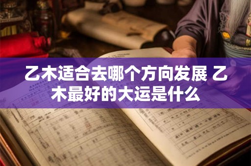 乙木适合去哪个方向发展 乙木最好的大运是什么