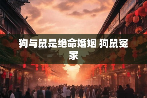 狗与鼠是绝命婚姻 狗鼠冤家