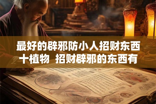 最好的辟邪防小人招财东西十植物  招财辟邪的东西有哪些