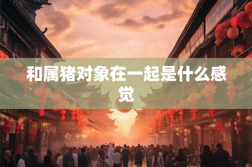和属猪对象在一起是什么感觉