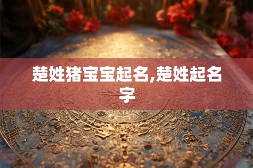 楚姓猪宝宝起名,楚姓起名字