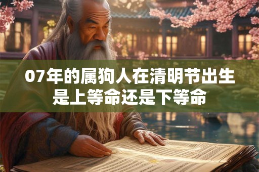07年的属狗人在清明节出生是上等命还是下等命