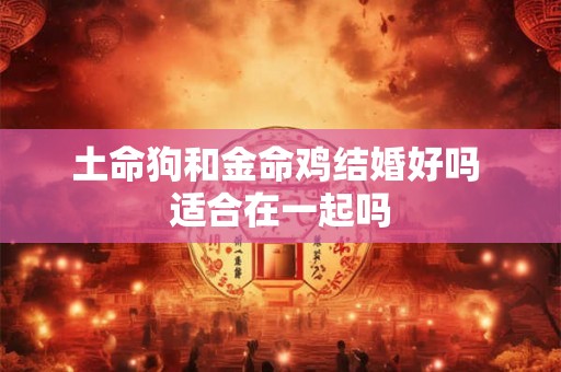 土命狗和金命鸡结婚好吗 适合在一起吗 土命狗和金命鸡结婚好吗 适合在一起吗