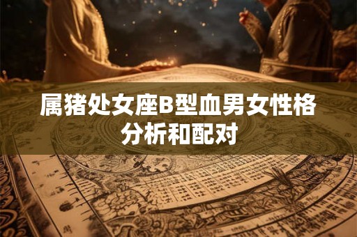 属猪处女座B型血男女性格分析和配对